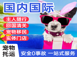 常州奔牛空运地址国际宠物托运 【国